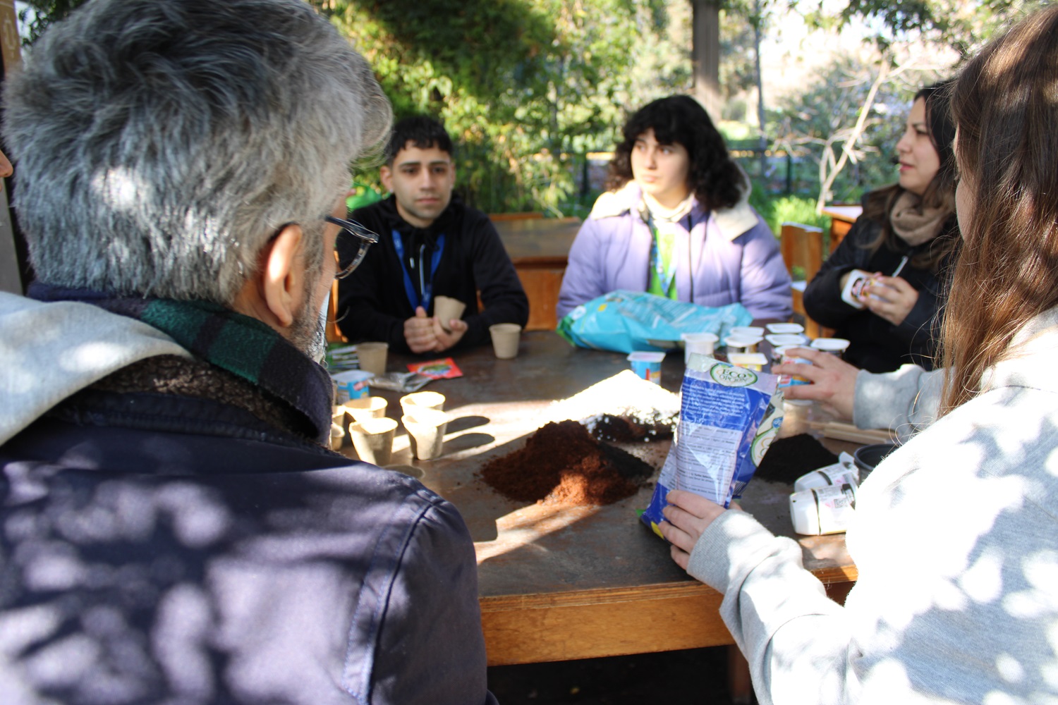 Programa Oficina Verde